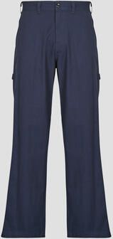 Dickies Cargobroek OLIVER SPRINGS PAINTER NIGHT SKY