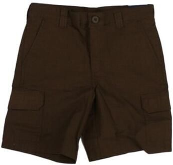 Dickies Korte Broek DK0A862Z