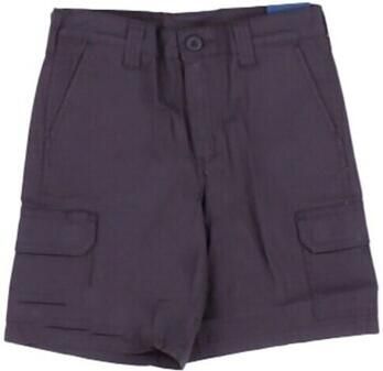Dickies Korte Broek DK0A862Z - Foto 1