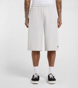 Dickies Korte Broek Streetsboro 13 inch sweat