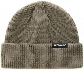Dickies Bruine Pet Brown
