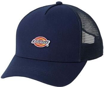 Dickies Pet Dk0a4yv3l181