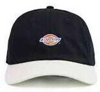 Dickies Pet HARDWICK 2 TONE DK0A4Z6L-BLK1 BLACK