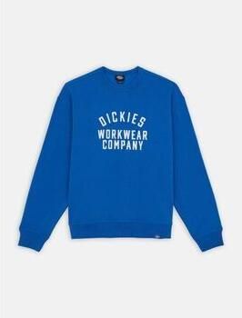 Dickies Sweater GRAPHIC HOODIE 3 DK0A85ST-J531 TURKISH SEA