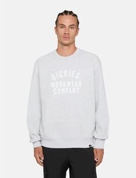Dickies Sweater GRAPHIC HOODIE 3 DK0A85ST-LHG1 HEATHER GRAY