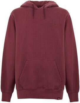 Dickies Sweater PLENTYWOOD HD DK0A866D-L161 ANDORRA