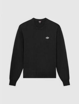 Dickies Sweater SUMMERDALE DK0A87OPBLK1-BLACK