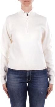 Dickies Sweaters DK0A87P1