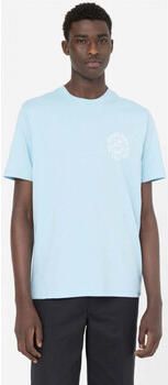 Dickies T-shirt Bayside gardens tee ss