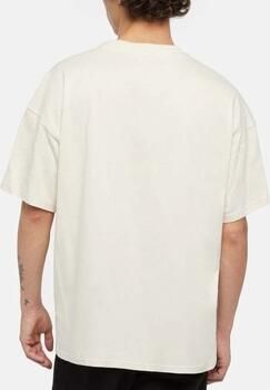 Dickies T-shirt Dk0a4yrnf901