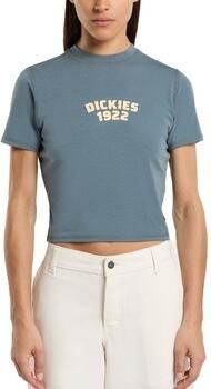 Dickies T-shirt DK0A4Z8FG701 CENTER LOGO