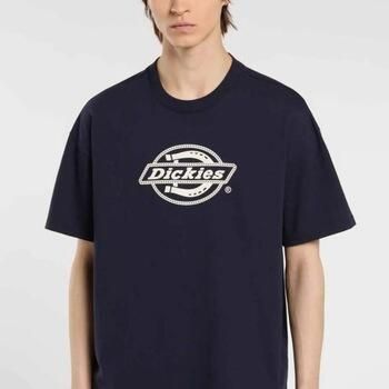Dickies T-shirt Dk0a87qsl181