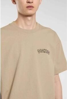 Dickies T-shirt Dk0a87qt0ds1