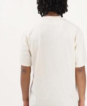 Dickies T-shirt Dk0a89enecr1