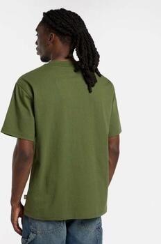 Dickies T-shirt Dk0a89enk721