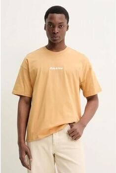 Dickies T-shirt ENTERPRISE TEE DK0A4YRN-K411 OAK BUFF