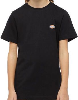 Dickies T-shirt