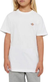Dickies T-shirt