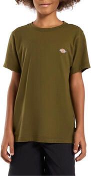 Dickies T-shirt