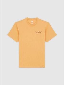 Dickies T-shirt Korte Mouw COMPANION TEE DK0A4Z98K411-OAK BUFF