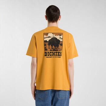 Dickies T-shirt Korte Mouw Darrtown ss tee