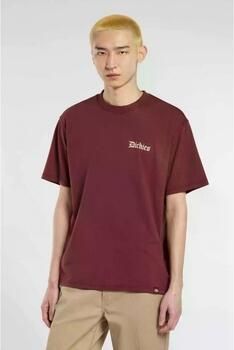 Dickies T-shirt Korte Mouw DINER