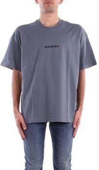 Dickies T-shirt ENTERPRISE TEE DK0A4YRN-G701 STORMY WEATHER