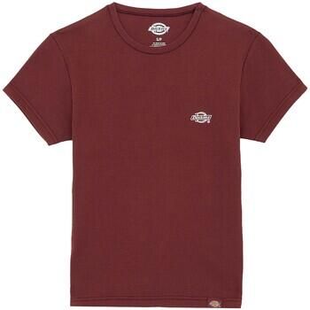 Dickies T-shirt Korte Mouw Gladeville Ss Tee W