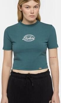 Dickies T-shirt Korte Mouw GLOBE TEE DK0A863I-0LN1 GREEN
