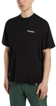 Dickies T-shirt Korte Mouw Burns tee ss