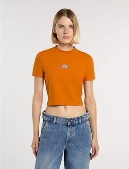 Dickies T-shirt Korte Mouw MAPLE VALLEY DK0A4XPO-K641 AUTUMN MAPLE