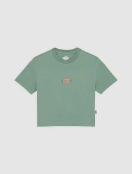Dickies T-shirt Korte Mouw MAPLE VALLEY DK0A4XPO-L191 SEA SPRAY