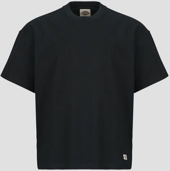 Dickies T-shirt Korte Mouw MINERAL HEAVYWEIGHT SS TEE BLACK