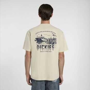 Dickies T-shirt Korte Mouw Pelham tee ss