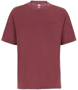 Dickies T-shirt Korte Mouw PLENTYWOOD TEE DK0A866BL161-ANDORRA