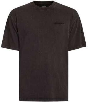 Dickies Plentywood Tee Short Sleeve Men T-Shirts & Polo's grijs Maat XL Kleding - Foto 4