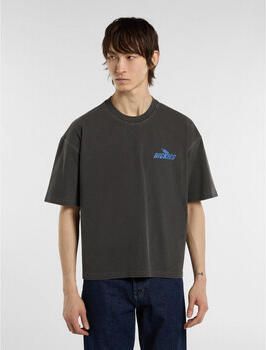 Dickies T-shirt Korte Mouw Shonto ss tee