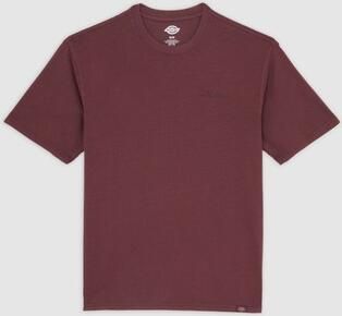 Dickies T-shirt Korte Mouw SLAYDEN GD