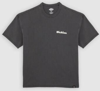 Dickies T-shirt Korte Mouw SLAYDEN GD
