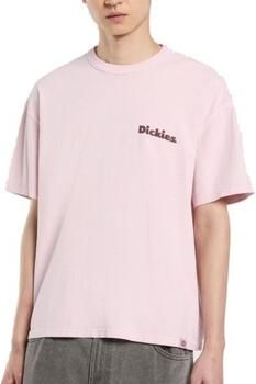 Dickies T-shirt Korte Mouw SLAYDEN GD TEE