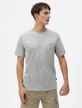 Dickies T-shirt Korte Mouw SS MAPLETON