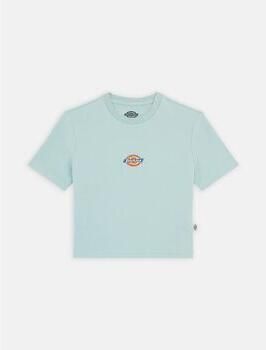Dickies T-shirt MAPLE VALLEY DK0A4XPO-J591 BLUE SURF