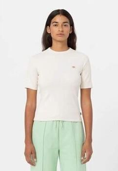 Dickies T-shirt MARYSVILLE SS TEE-DK0A4YHDF901-F901 WHITECAP GRAY