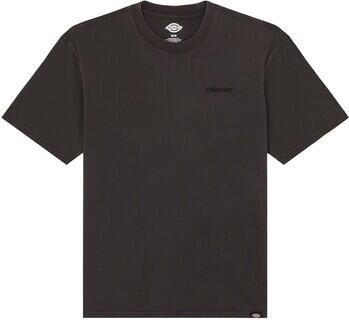 Dickies T-shirt PLENTYWOOD TEE DK0A866BH861-ACID BLACK