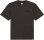 Dickies T-shirt PLENTYWOOD TEE DK0A866BH861-ACID BLACK - Thumbnail 2