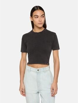 Dickies T-shirt Plentywood Ss Tee W