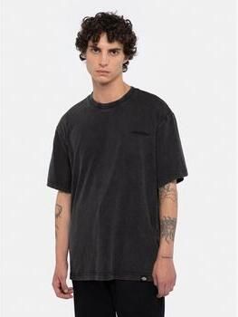 Dickies T-shirt PLENTYWOOD TEE DK0A866BH861-ACID BLACK - Foto 2