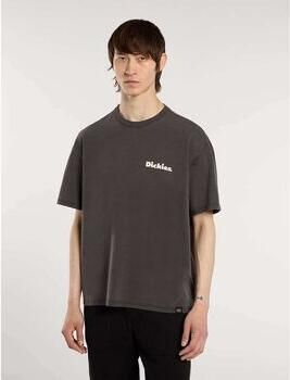Dickies T-shirt SLAYDEN GD TEE DK0A87QR-K661 - Foto 1