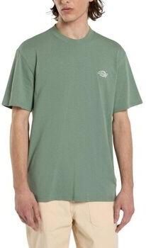 Dickies T-shirt SUMMERDALE SS DK0A4YA-L191 SEA SPRAY - Foto 1