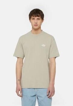 Dickies T-shirt SUMMERDALE SS DK0A4YA-SS01 SANDSTONE